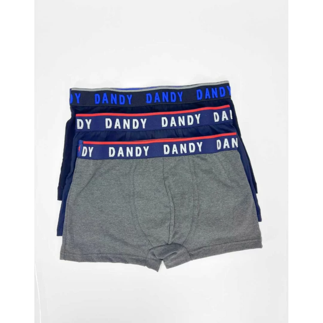 Tripack Boxer da uomo Dandy art.253 BF in tinta unita 100% cotone elasticizzato con elastico esterno e logo colorato